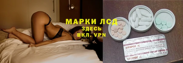 твердый Новокубанск