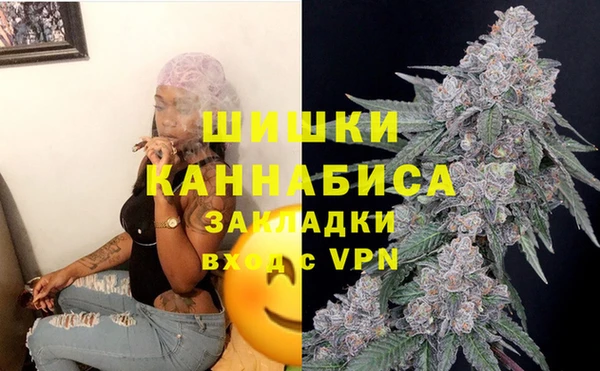 альфа пвп Новодвинск