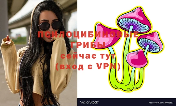 альфа пвп Новодвинск