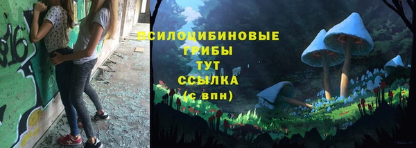 твердый Новокубанск