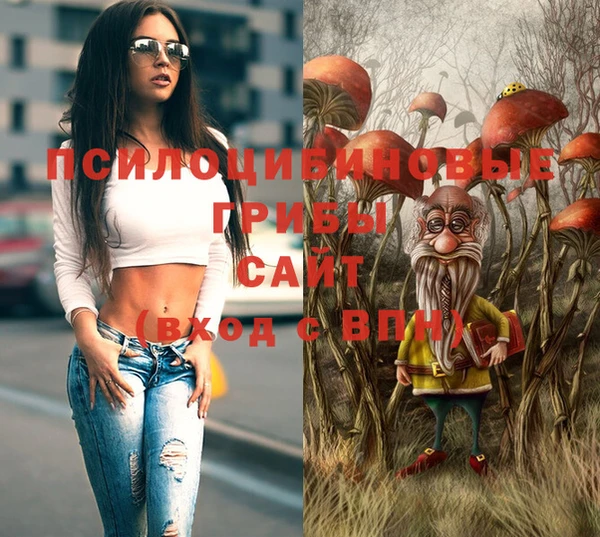твердый Новокубанск