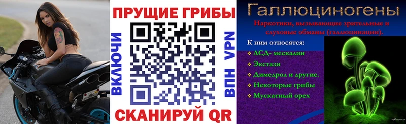 ссылка на мегу онион купить Петушки Галлюциногенные грибы прущие грибы